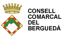 Consell Comarcal del Bergued